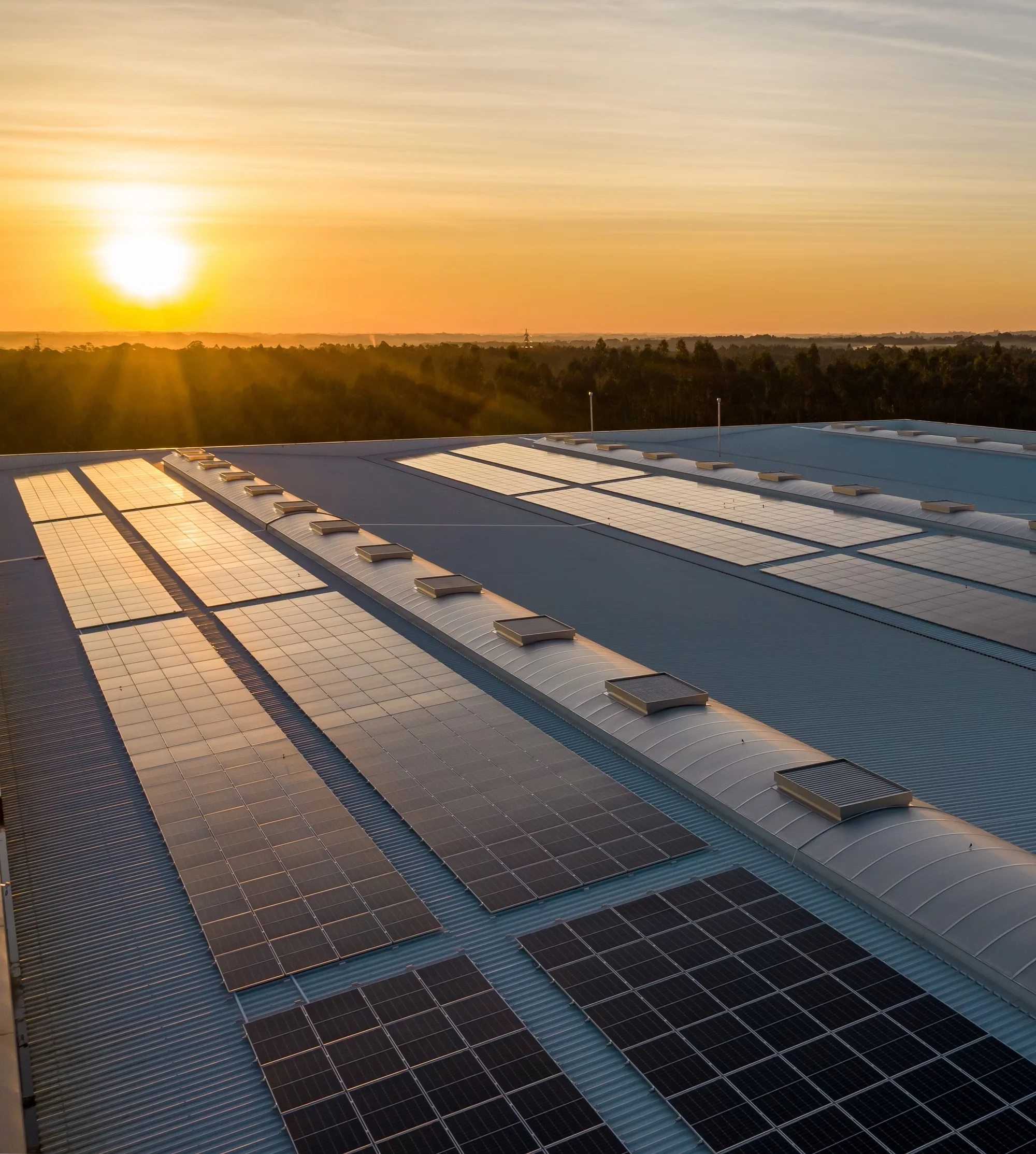 Paneles solares al atardecer